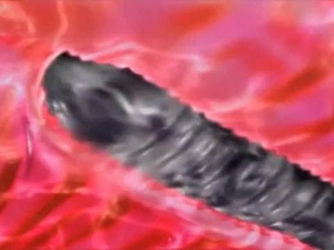 Femmes en action dans un hentai haven