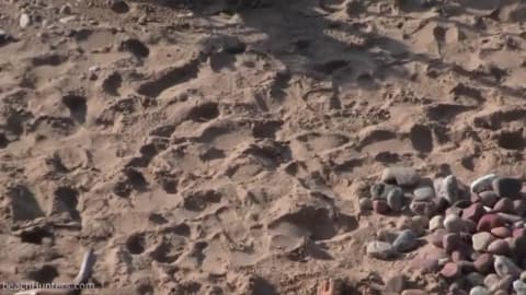 Voyeur amateur filme un couple à la plage