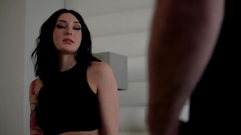 Litigio e Sesso: Dal Litigio al Letto